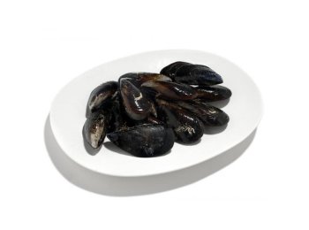 Cozza c/g reimmersa olbia italia