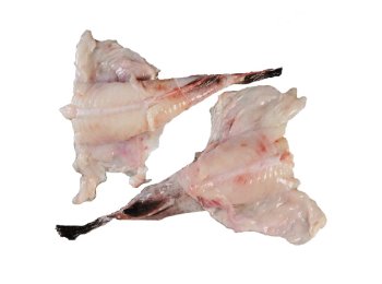 Rana pescatrice coda 500/1000