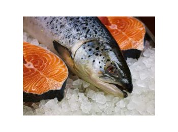 Salmone sup ev 2/3 cassa norvegia