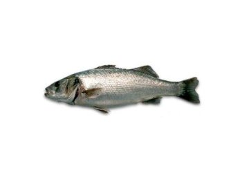 Branzino 800/1000 italia