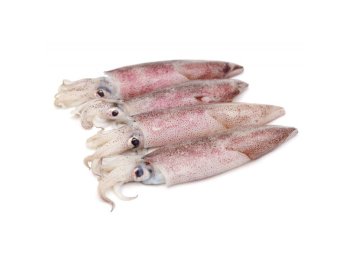 Calamaro sporco 100/125 gr cacciarolo