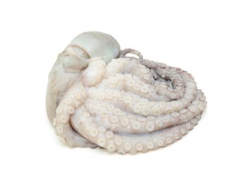 Polpo 500/800 dec messico