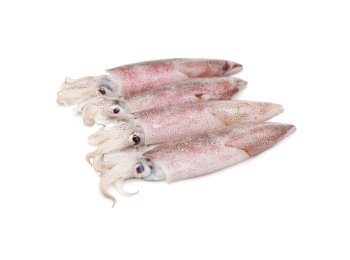 Calamaro patagonico c4 sporco dec