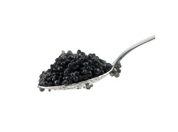 Caviale 10 gr calvisius