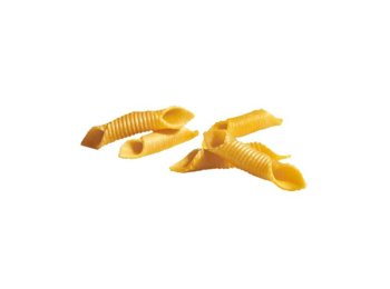 Garganelli precotti pastasi