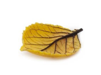 Foglia finger salata autunnale