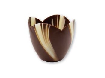 Tulipani choc venere