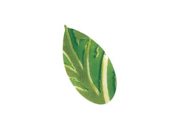 Fogliolina primavera choc