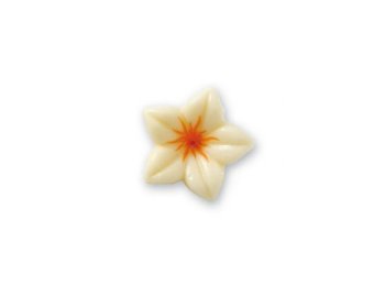 Narcisi choc bianchi/rossi arancio