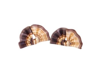 Ventagli choc marmorizzati