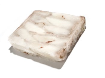 Calamaro pacifico u/10 millenium