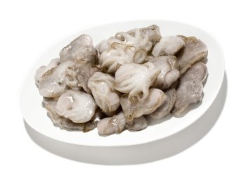 Polpo indopacifico 10/20 pz/kg