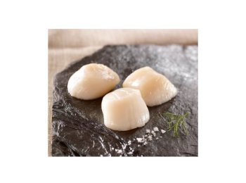 Cappasanta s/g 20/30pz/lb canada