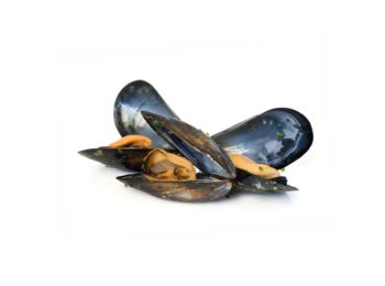 Cozza c/g mitilla italia