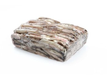 Calamaro patagonico c 4ll/ sporco blk