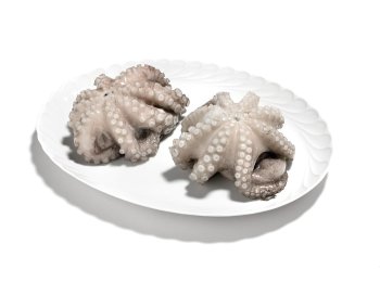 Polpo indopacifico 1000/2000gr