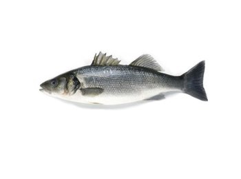 Branzino 1000+ croazia