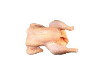 Gallina a busto leggera nazionale