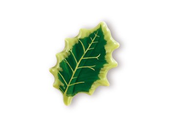 Agrifoglio verde choc