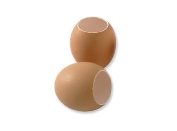 Guscio d'uovo naturale