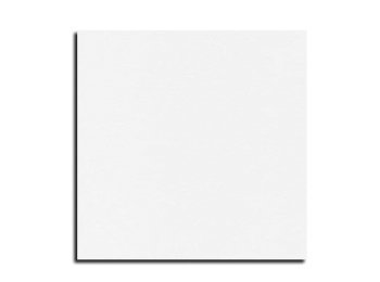 Tovagl.coprimacchia dry 100x100cm bianco