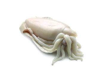 Seppia pulita 10/20pz/kg