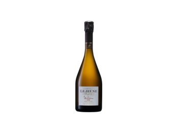 Vino champagne premier cru brut millesim
