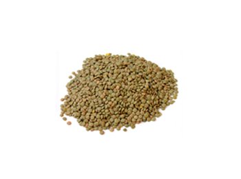 Lenticchie laird secche