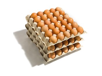 Uova medio-grandi pasta gialla