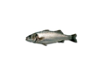 Branzino 300/400 cassa grecia