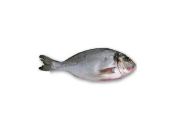 Orata 300/400 cassa grecia