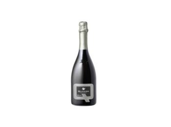 Vino franciacorta q saten
