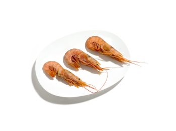 Gambero l2 20/30 pz/kg c/bordo