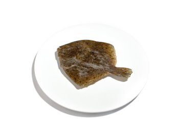 Rombo chiodato 300/500 gr olanda