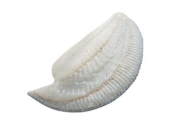 Filetto rombo 200+ c/p cassa spagna