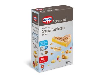 Crema pasticcera a freddo 600gr cameo