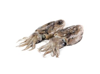 Seppia nera burchio italia