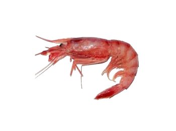 Gambero viola sicilia i 10-22pz/kg