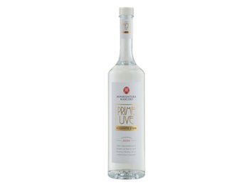 Grappa prime uve 40%