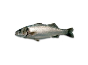 Branzino 400/600 cassa turchia