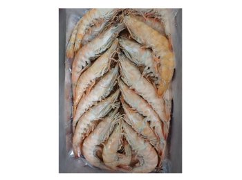 Mazzancolla 20/30 c/bordo tunisia