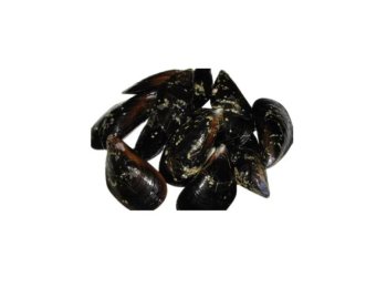 Cozza c/g spazzolata spagna