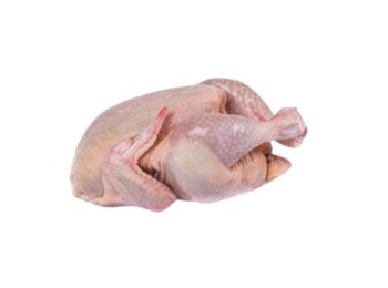 Pollo a busto halal 800 gr