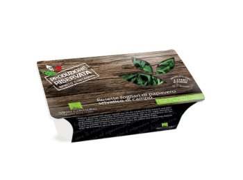 Rosette fogliari di papavero selvatico