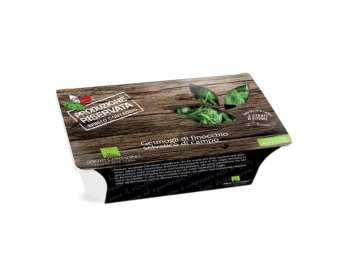 Germogli di finocchio selvatico di campo