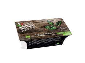 Germogli di torzella di campo