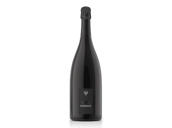 Vino prosecco magnum exper.valdobb. docg