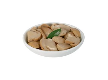 Funghi porcini tagl. o.oliva 3kg