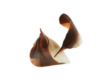 Fogliolina bicolore choc