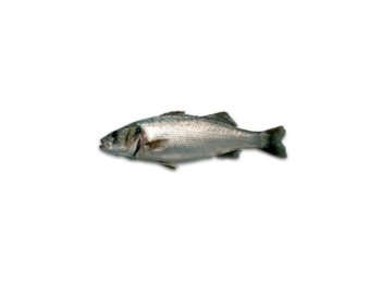 Branzino 200/300 cassa grecia